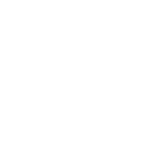 NIROX LOGO